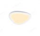 308x382 Single Head Big Stone Decoration Ceiling Lights