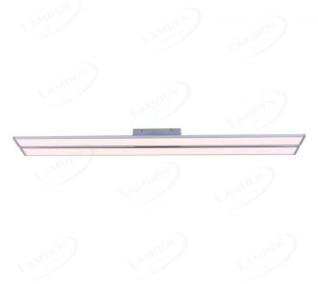 Double Long Strip Ceiling Light